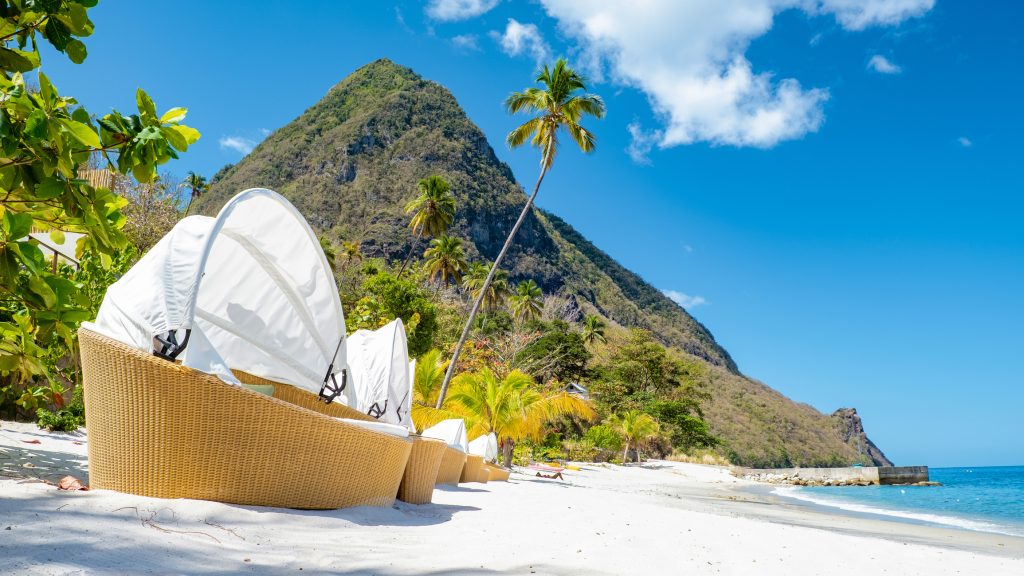 Sugar beach Saint Lucia , a public white tropical beach with palm trees and luxury beach chairs