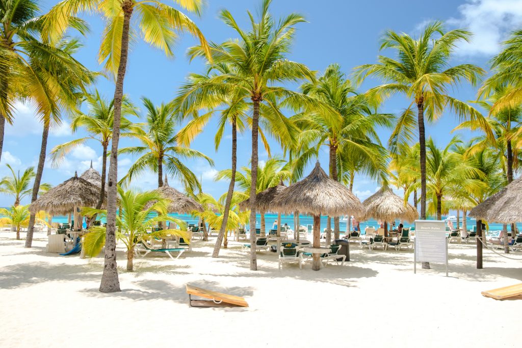 Palm Beach Aruba Caribbean, white long sandy beach with palm trees at Aruba Antilles