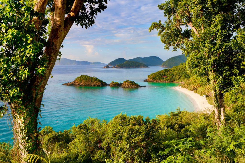 Trunk Bay, St. John, US Virgin Islands in the Caribbean