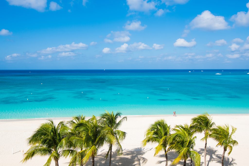 Seven Mile Beach and Palm Tree