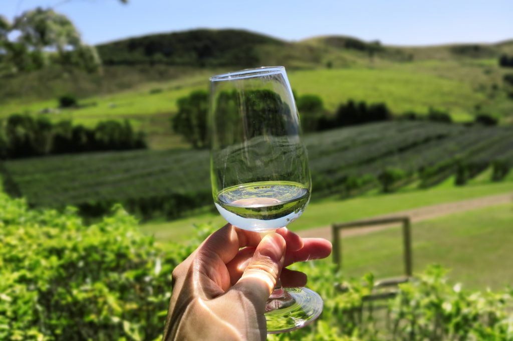 Glass with white wine in hand in front of beautiful vineyard, New Zealand - A Way To Go Travel