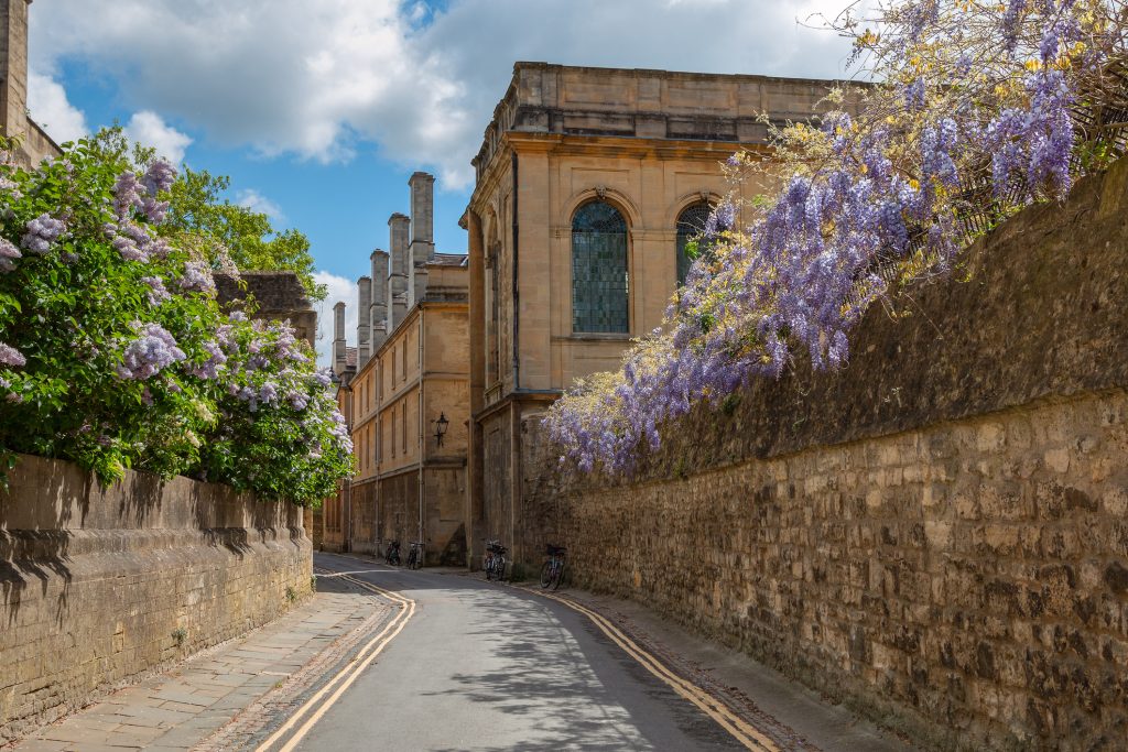 Queen's Lane Street in Oxford. On the right, walls covered with wisteria, on the left side lilacs. A Way To Go Travel