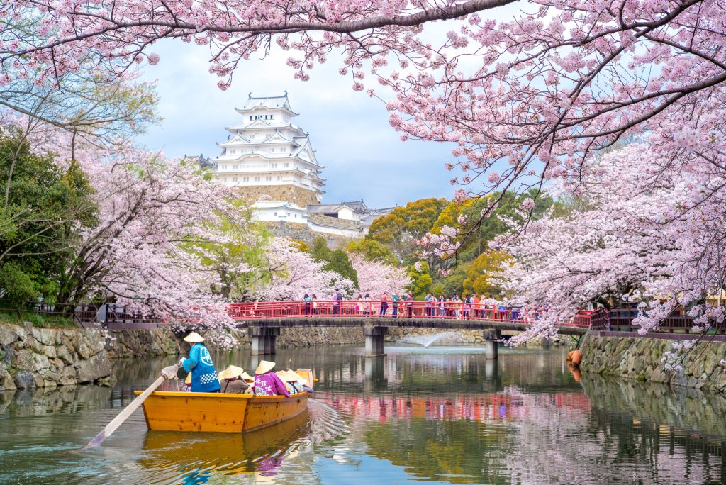 Himeji Castle with beautiful cherry blossom in spring season - A Way To Go Travel